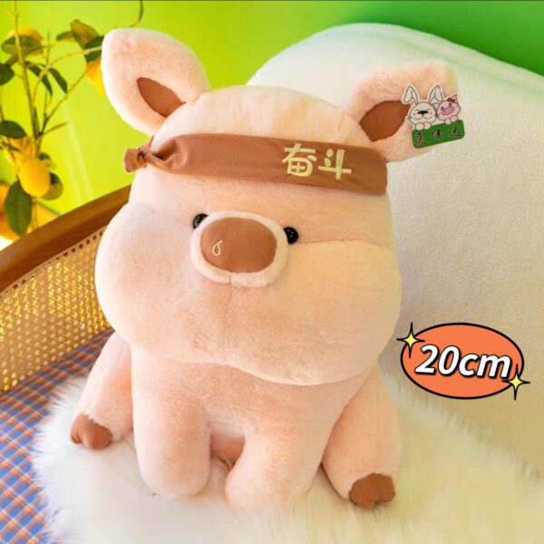 Chancho Fitness