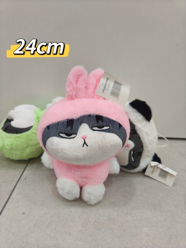 Gato enojado con gorro