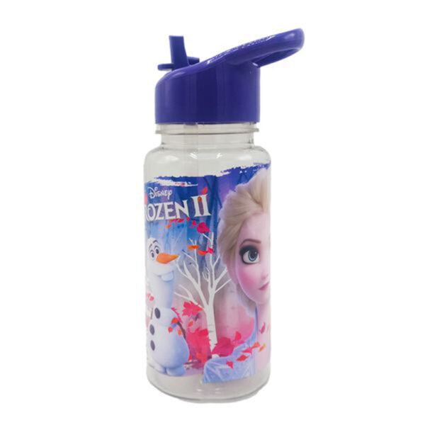 Botella 500 ml tapa de paja congelada