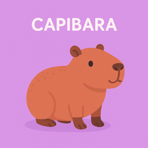 CAPIBARA