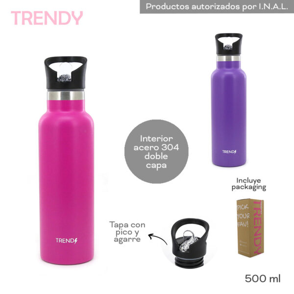 Botella Thermo 500 Ml
