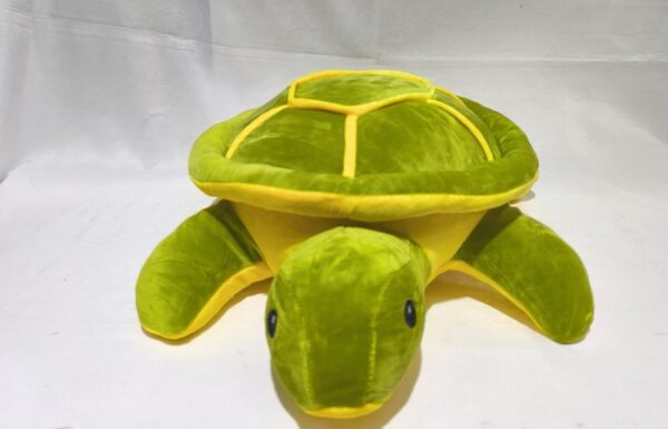 Tortuga 40cm