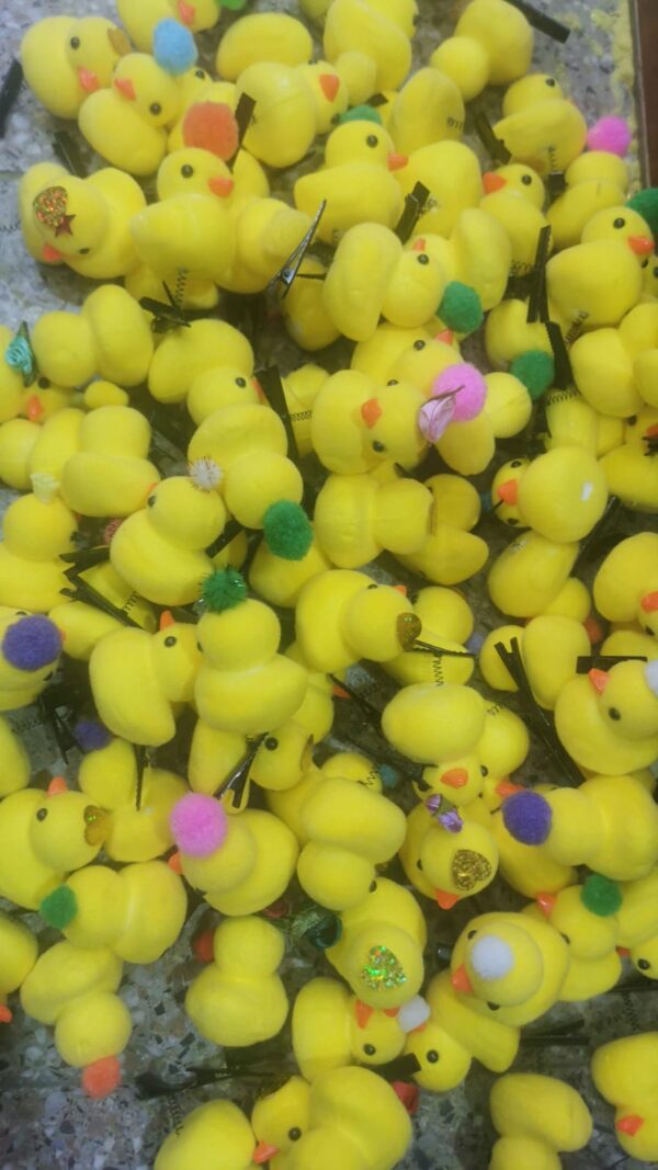 Patito de tik tok - con deco