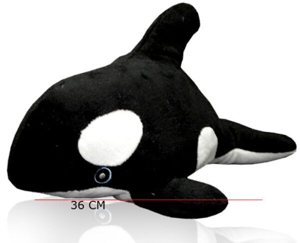 ORCA 36CM