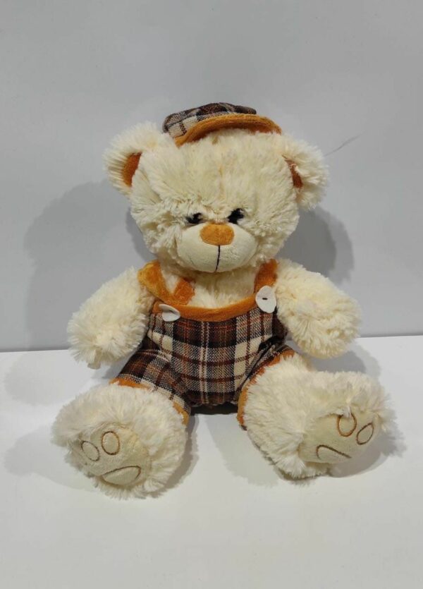Oso con gorro y remera escoces