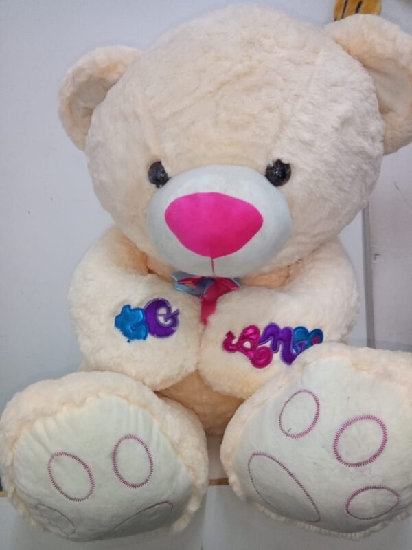 Oso abrazodo te amo 2 color