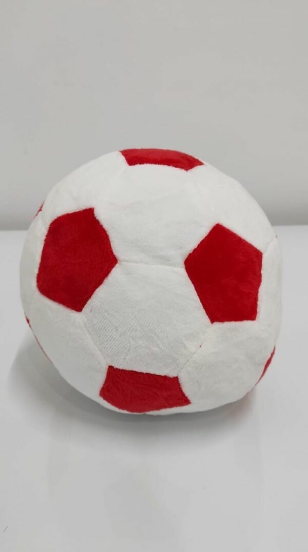 Pelota 20cm