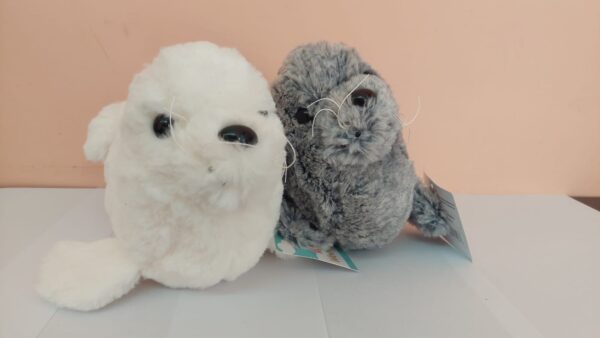 FOCA 9"