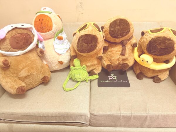 PELUCHES CON MANTA CAPIBARAS HERMOSOS!