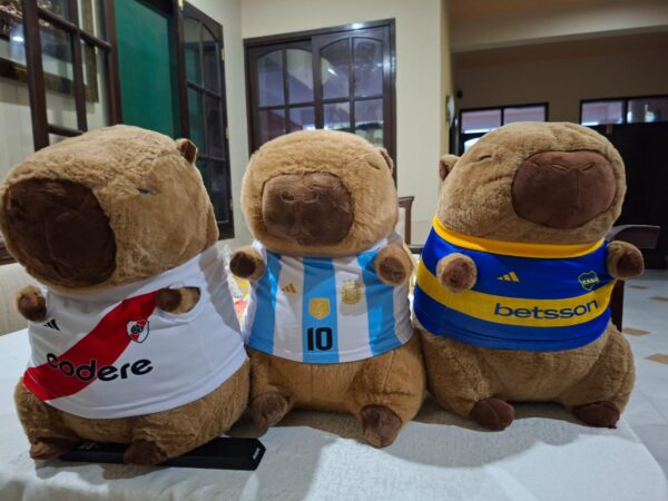 CAPIBARA CON MANTA DE EQUIPOS INCREIBLE CALIDAD - Imagen 2
