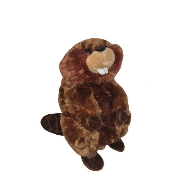 CASTOR 25 CM -