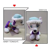 PAW PATROL EVEREST 20CM.JPG