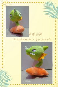 PLANTA DRAGON 20CM.JPG