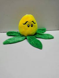 PLANTA CHOCLO