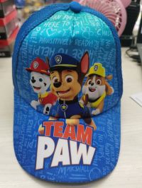 GORRO PAW PATROL (JJ066)