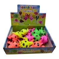 SQUISHY TORTUGA X12 2008-5