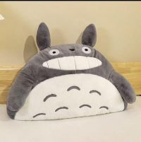 ALMOHADA TOTORO DE 1 METRO