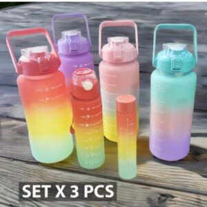 2L SETX3 BOTELLA DE AGUA 4940303-50